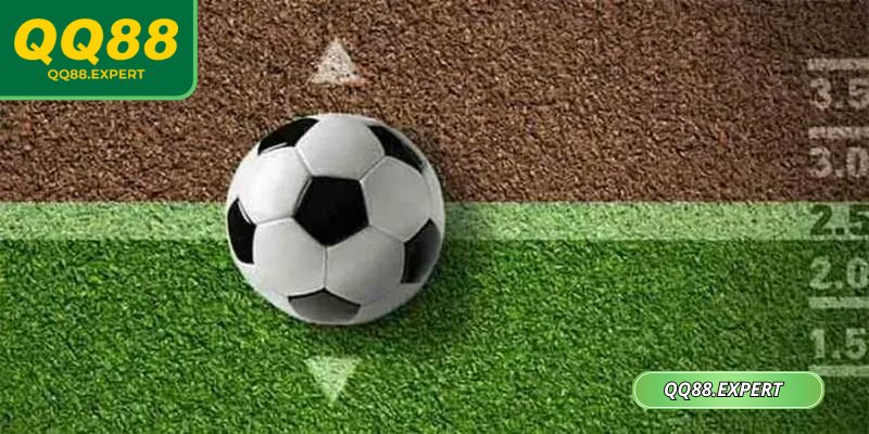Kèo Nhà Cái QQ88 Đa Dạng, Dễ Nhận Biết, Thoải Mái Chốt 1 Handicap đưa ra nhiều mức chấp thú vị để cân nhắc